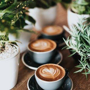 Chilli Cinnamon Mocha | Concentrate